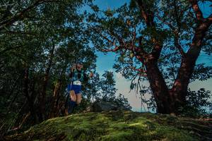 BIB: 
                            <button type="button" onclick="openModal(28599328)" class="btn btn-primary btn-sm float-right btn-popup" data-toggle="modal" data-target=".modal-high-quality">
                        <i class="fas fa-shopping-cart"></i> Add to Cart
                    </button>
                                            <button type="button" onclick="isThisMe(28599328, true)" class="btn btn-success btn-sm float-right btn-popup btn-isme hidden" data-toggle="tooltip" data-placement="bottom" title="นี่คือรูปของคุณใช่ไหม คลิกที่นี่เพื่อเอาเข้าอัลบั้ม">
                        <i class="fas fa-plus"></i> Add to album
                    </button>
                    <button type="button" onclick="isThisMe(28599328, false)" class="btn btn-warning btn-sm float-right btn-popup btn-isnotme hidden">
                        <i class="fas fa-ban"></i> Remove from album
                    </button>